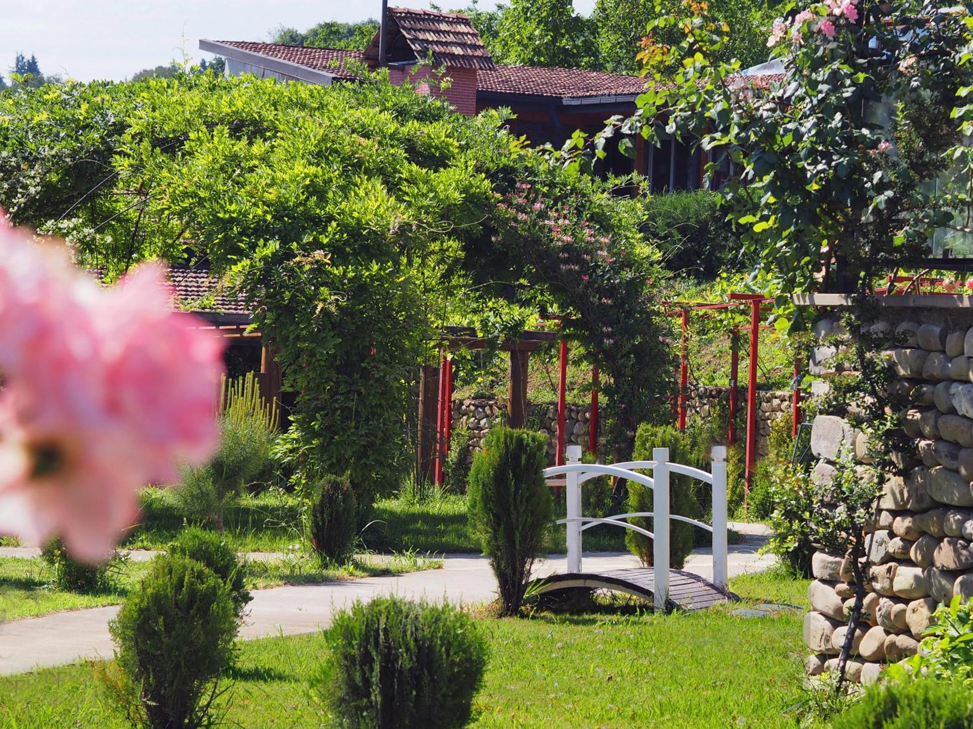 Ampelo Resort Kardanakhi Extérieur photo
